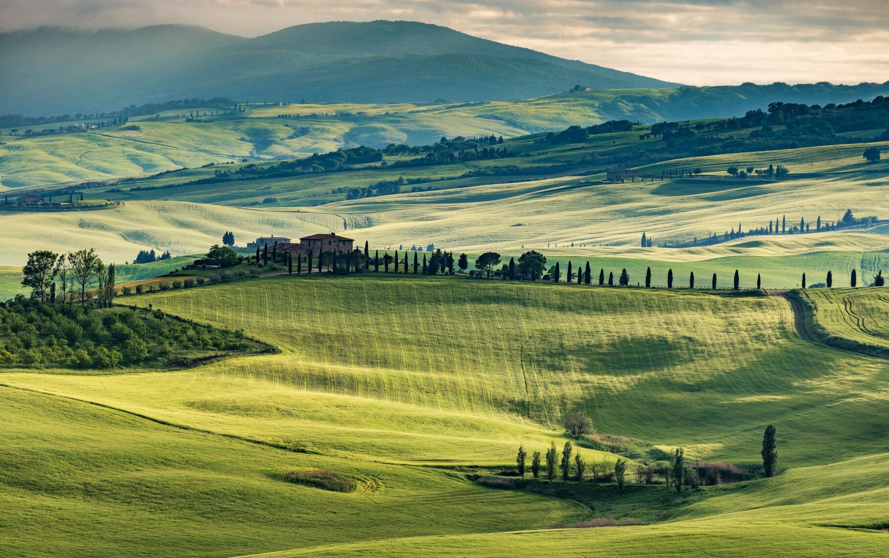 Italy, Val d’Orcia - Gehringj iStock.jpg